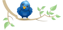 twitter-bire
