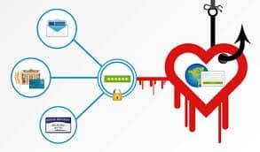 heartbleed bug