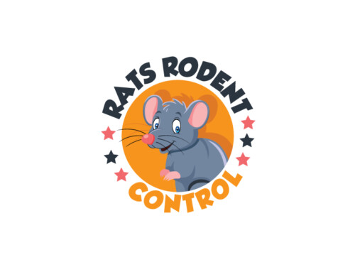 Rats Rodent Control